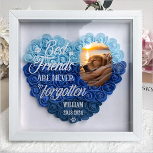 Personalized Memorial Flower Shadow Box Gift For Pet Lovers - You Would Have Lived Forever
