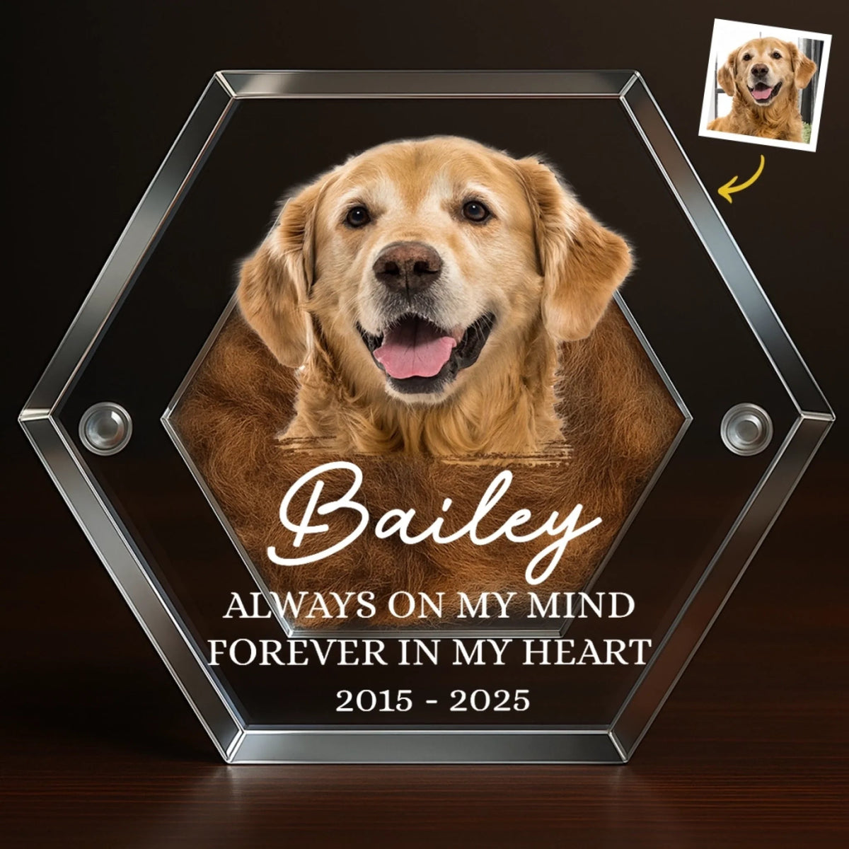 Custom Photo Pet Fur Keepsake - Personalized Pet Memorial Sympathy Gifts For Dogs, Cats, Loss Of Dog - Always In My Heart