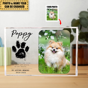 You Leave Paw Prints On Our Hearts  Personalized Photo Acrylic Plaque
