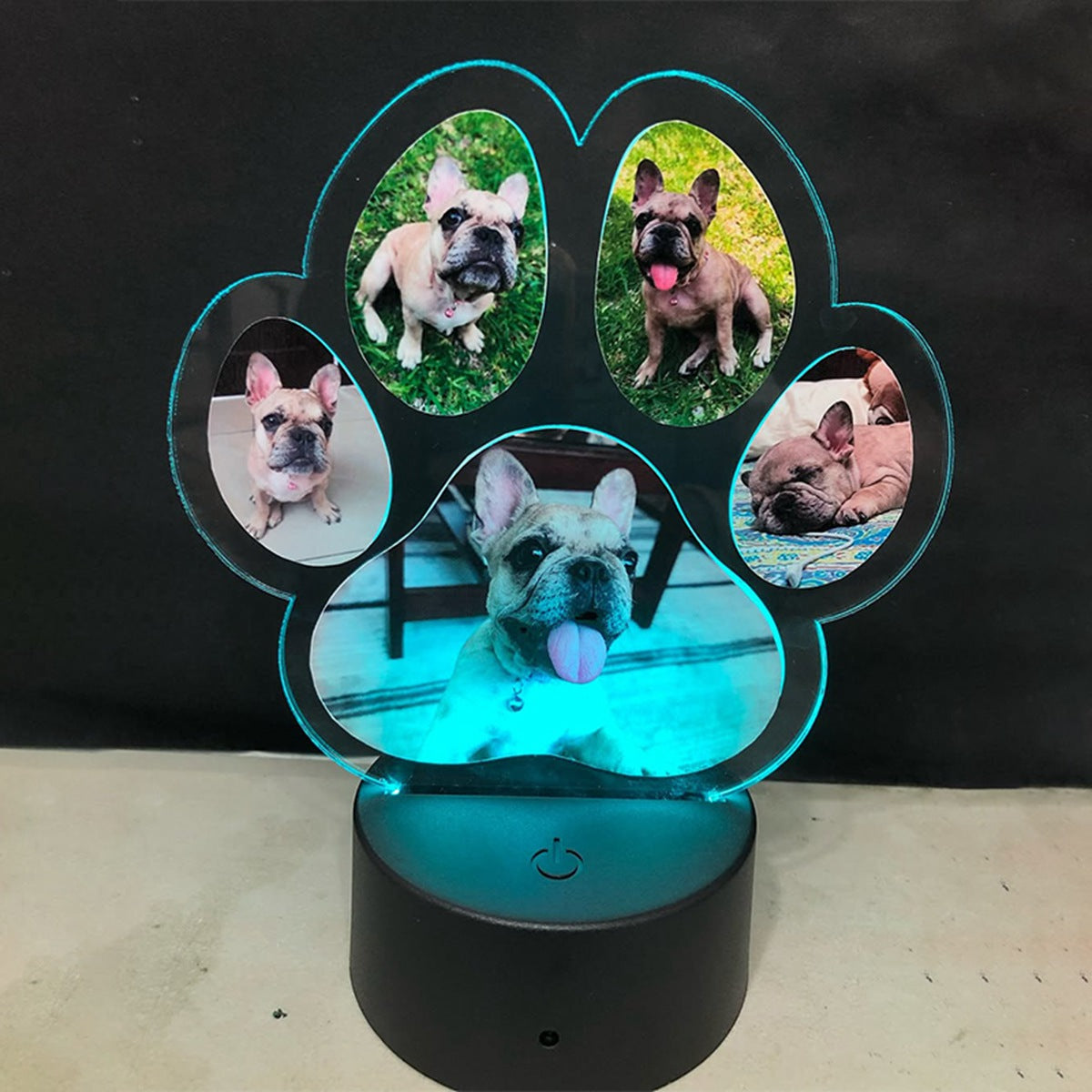 Custom Photo Dogs Paw Personalized Acrylic Block LED Night Light