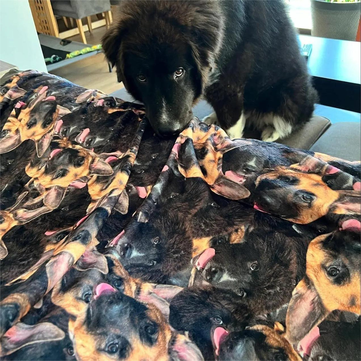 Personalized Custom Photo Face Blanket- Funny Face Gift