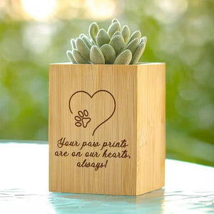 Personalised Pet Line Drawing Dog Cat Paw Print Wooden Flower Pot Sympathy Memorial Gift for Loss of Pet
