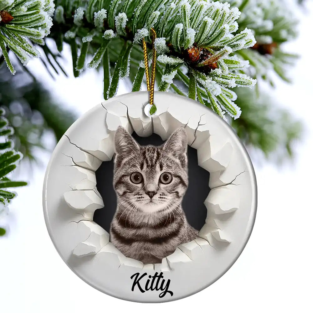 Custom Photo Snow Hole Funny Dog Cat Pet - Personalized Circle Ceramic Ornament