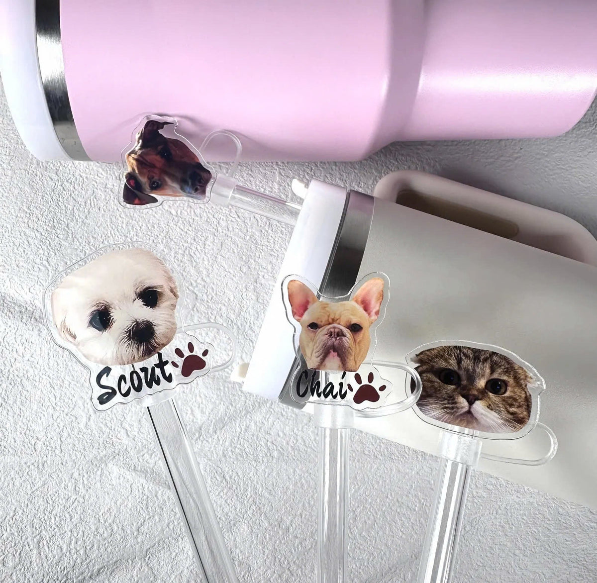 Personalized Custom Pet Photo Tumbler Straw Cover Gift For Pet Lovers