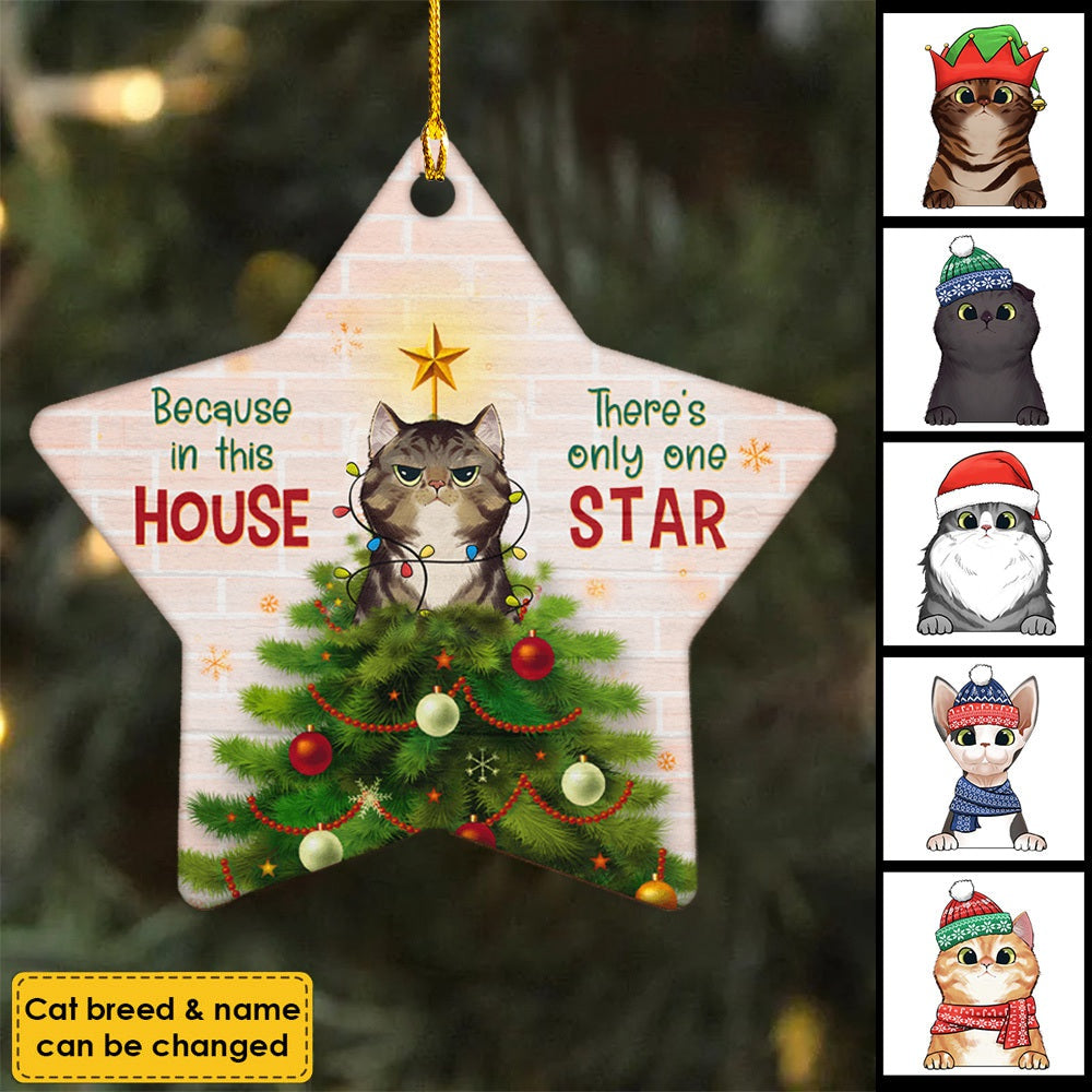 Because In This House - There's Only One Star - Personalized Custom Star Shaped Christmas Ornament