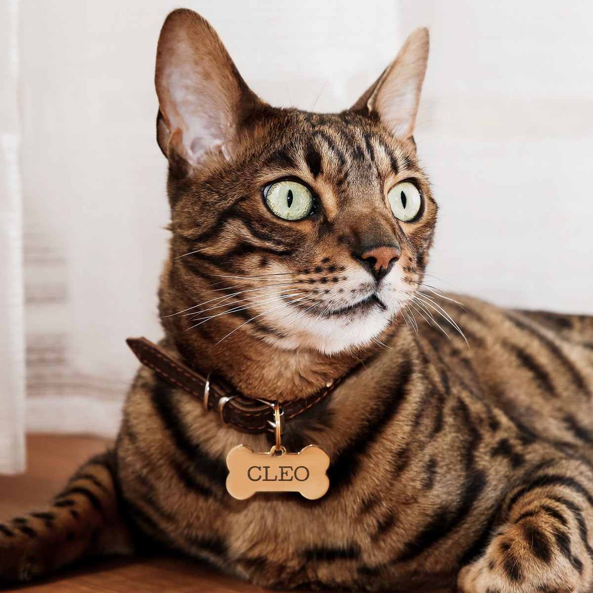 Personalized Stainless Steel Engraved Bone Shaped Dog Tag